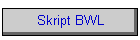 Skript E-Business